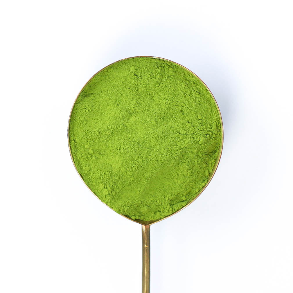 Ginger Matcha – Miro Tea