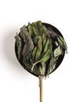 Peruvian Peppermint