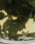 Peruvian Peppermint