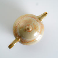Soda Glazed Teapot #52