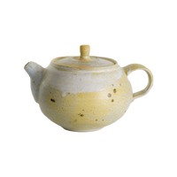 Andrzej Bero Teapot #55