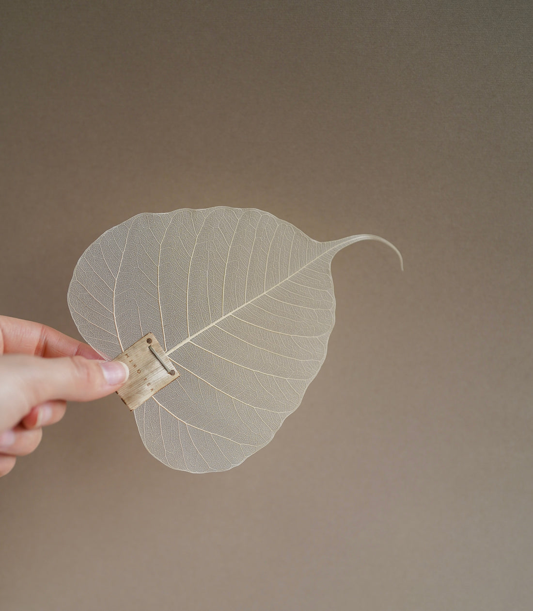 Bohdi Leaf Tea Strainer