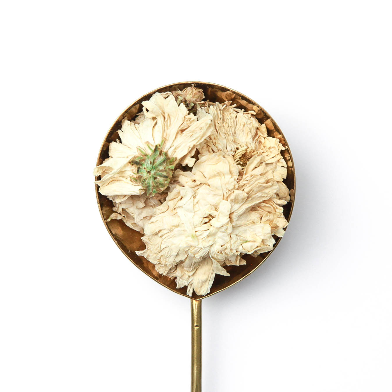 Chrysanthemum – Miro Tea