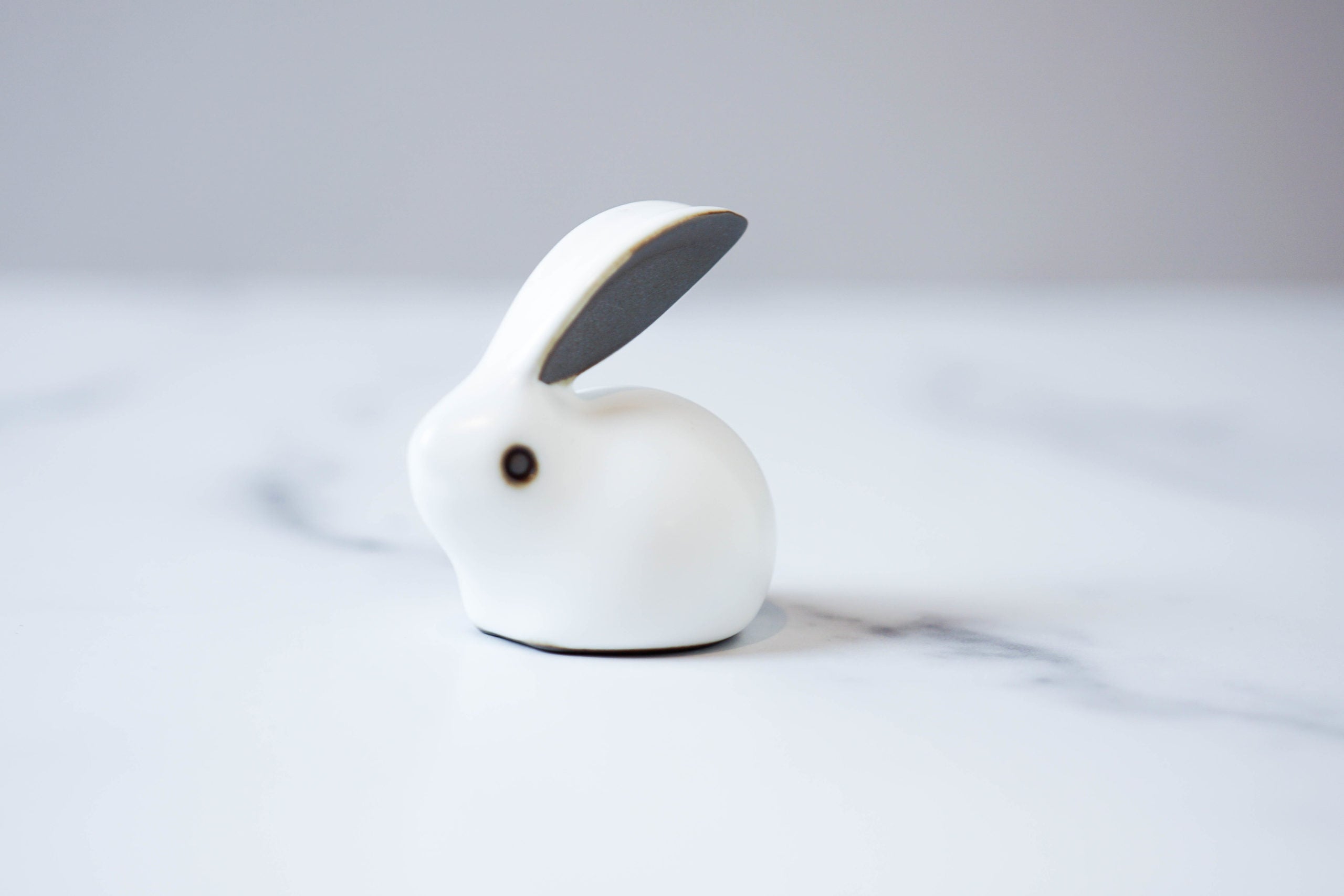 Rabbit Tea Pet – Miro Tea - Main Image