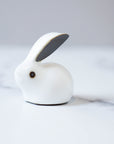 Rabbit Tea Pet
