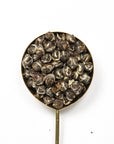 Jasmine Pearls