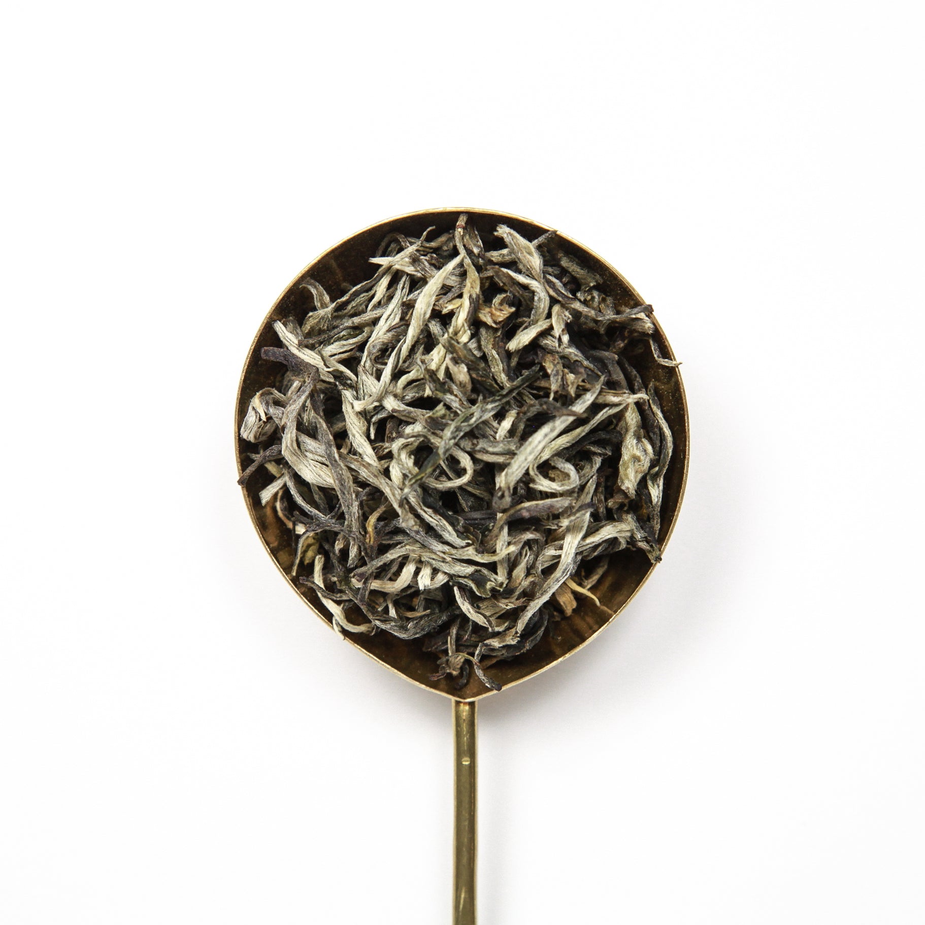 Modest Mao – Miro Tea