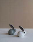 Rabbit Tea Pet