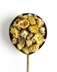 Baby Chrysanthemum