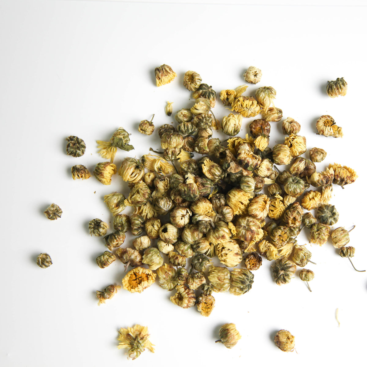Baby Chrysanthemum