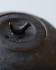 Cloud and Bird Teapot Wide