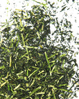 Karigane