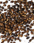 Mugicha