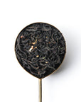 Osmanthus Black