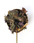 Shiso Bancha
