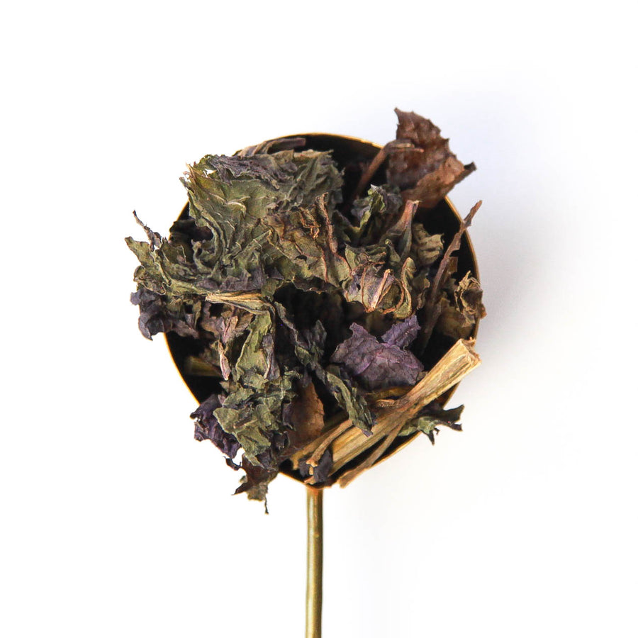 Shiso Bancha