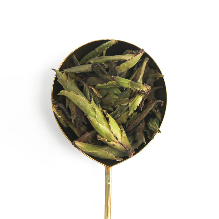 Miro Tea | Premium Teas & Herbals from Around the World | Tea Ware