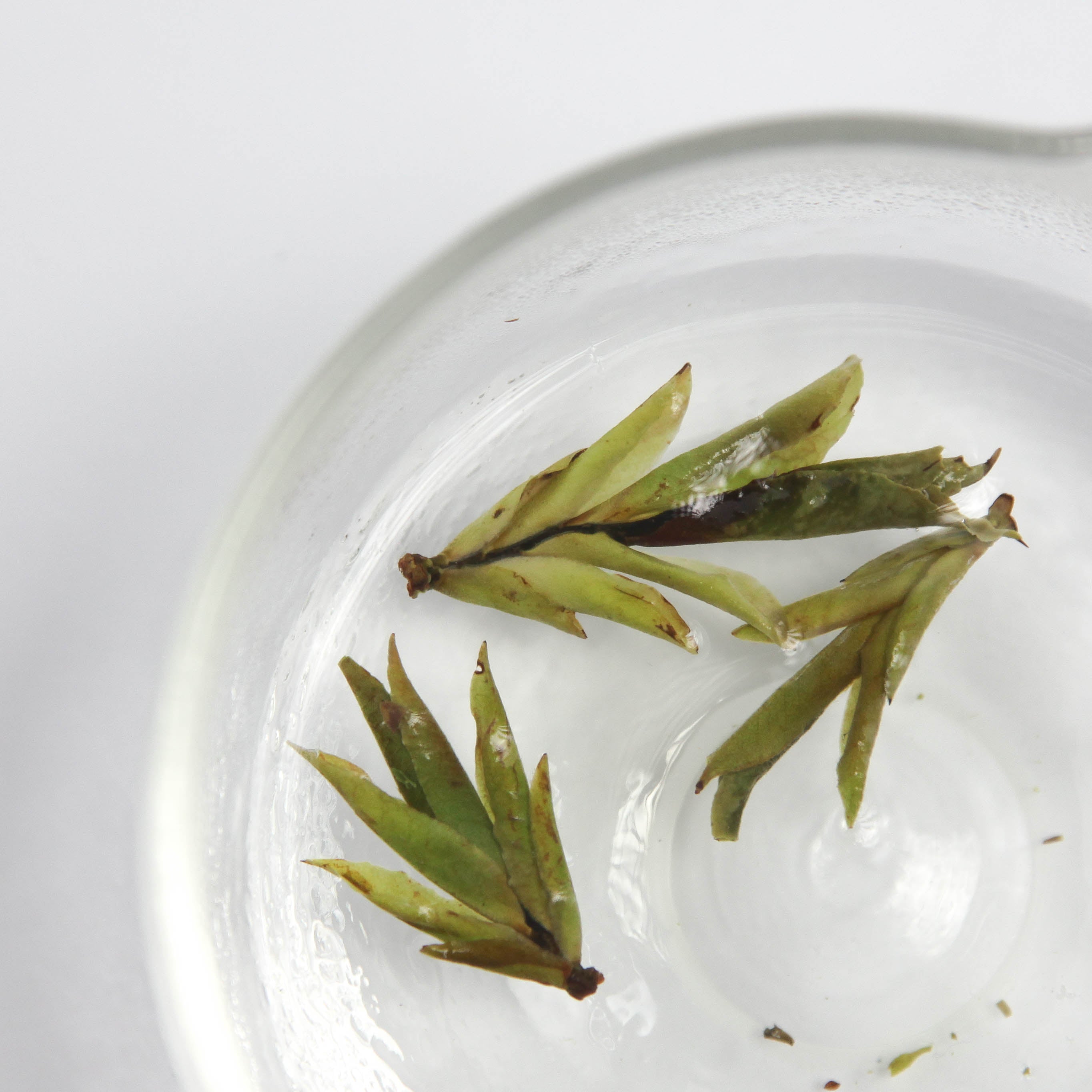 About – Miro Tea
