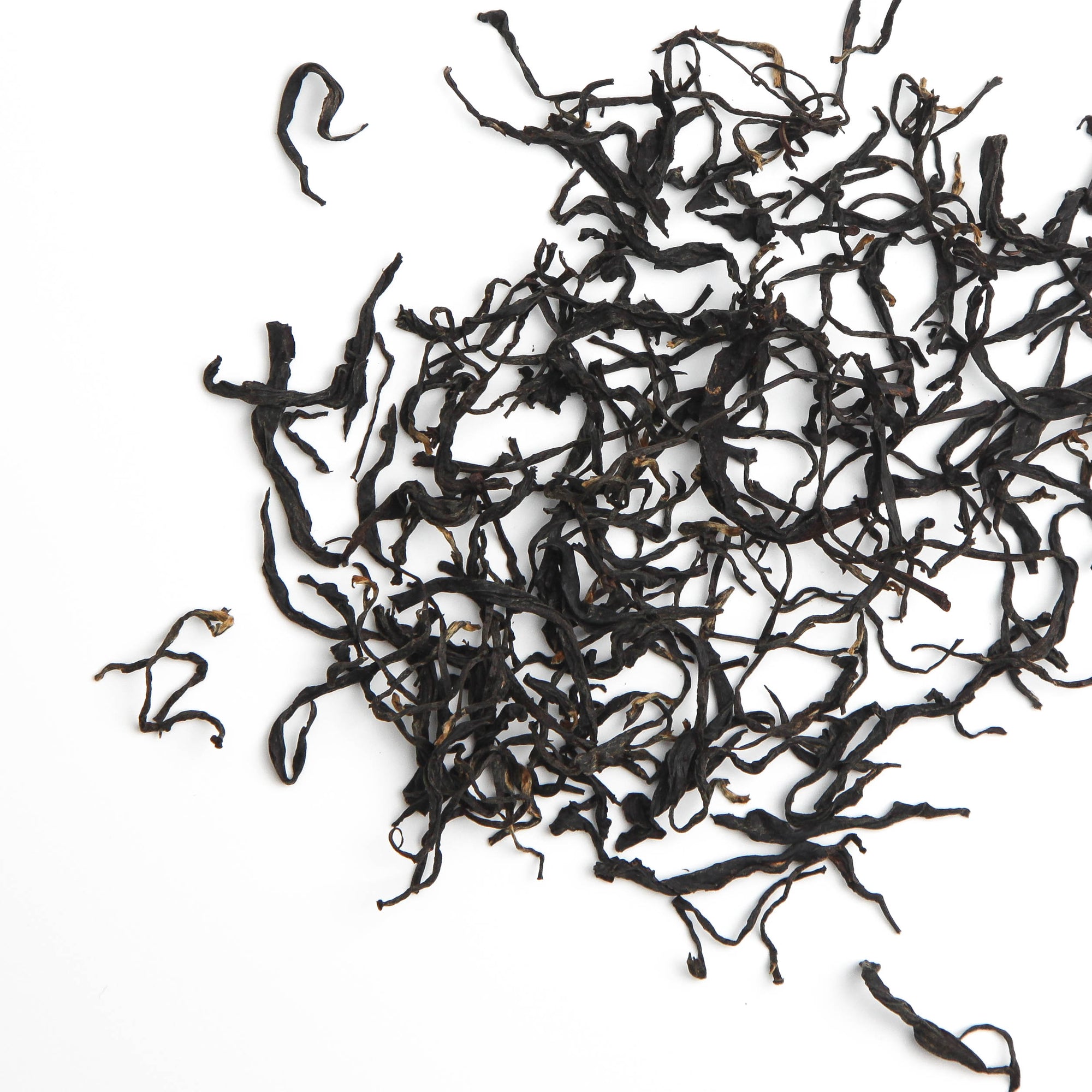 Xiaoye Black