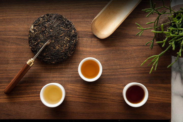 Miro Tea gallery