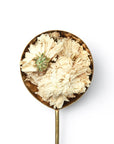 Chrysanthemum