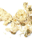 Chrysanthemum