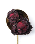 Dark Rose