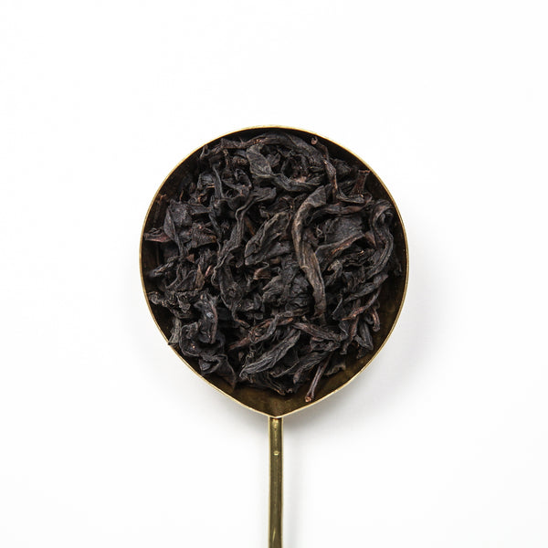 Golden Water Turtle (Shui Jin Gui) – Miro Tea